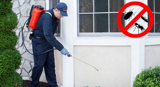 Bala Kemirgen İlaçlama böcek ilaçlama ve haşere kontrolü — ilaclama-tr.com
